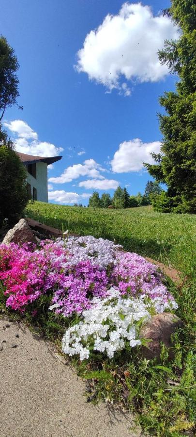Sirovka Villa Horní Polubný Eksteriør billede
